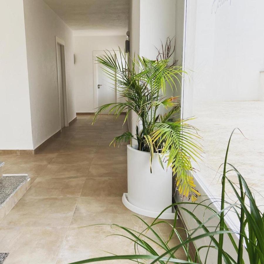 Hostal Pitiusa مدينة إيبيزا المظهر الخارجي الصورة